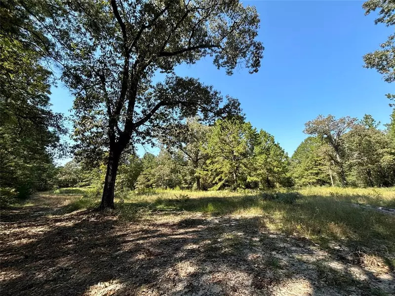 TBD County Road 3266, Colmesneil, TX 75938