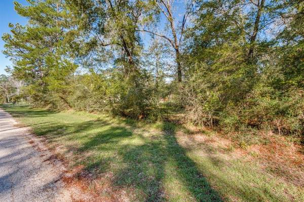 Dayton, TX 77535,Lot 392 County Road 6494