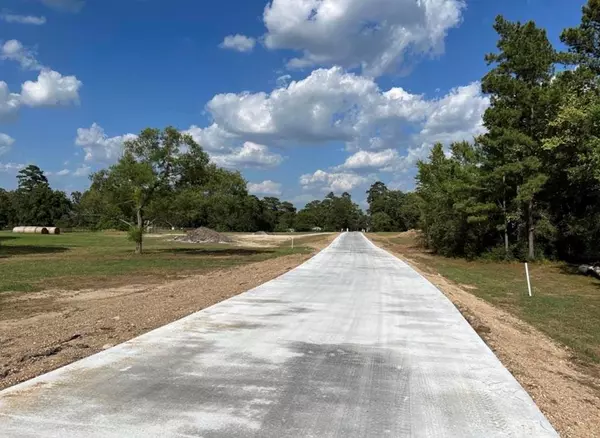 Magnolia, TX 77354,10400 (Tract 15) Superior Lane