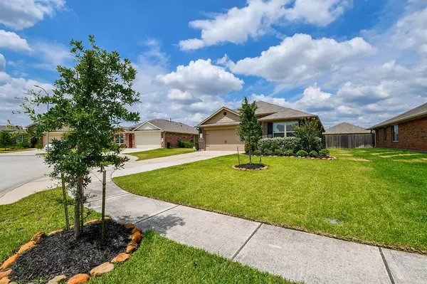 Tomball, TX 77375,23611 Eldarica Pine CT