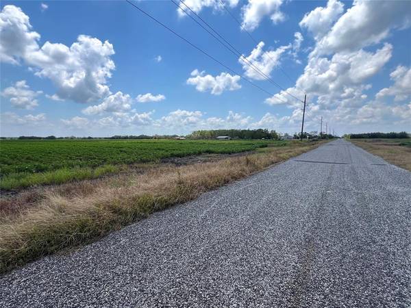 Damon, TX 77430,0 Rycade Road