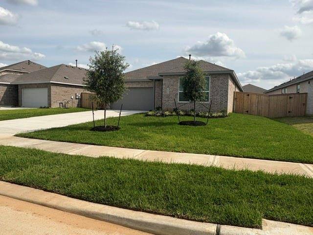 Katy, TX 77493,26419 Virginia Wild Rye Lane