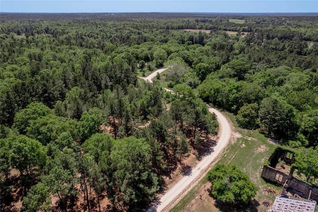 6077 Tract 3 CR 4200, Pennington, TX 75856