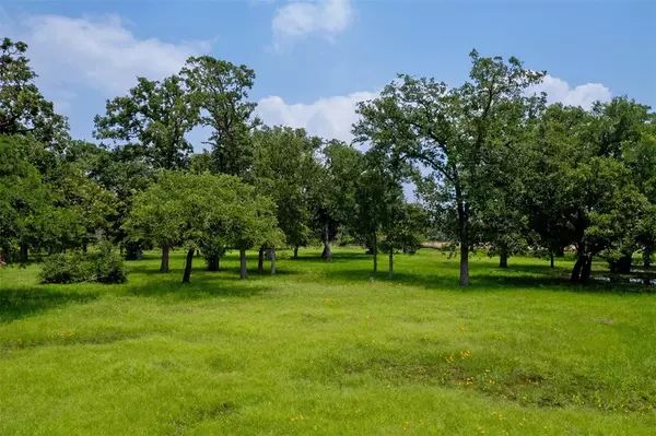 TBD Thornberry DR, Somerville, TX 77879