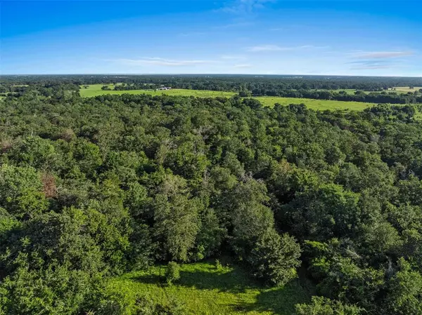 Franklin, TX 77856,0000 Reagan Loop