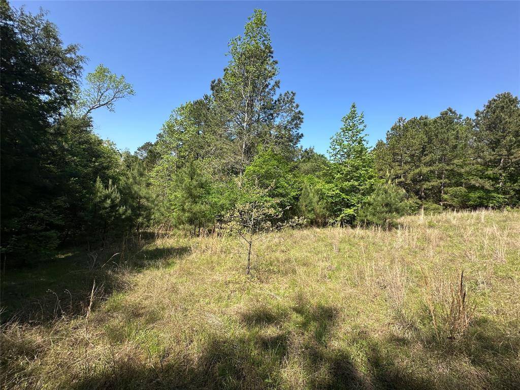 Buffalo, TX 75831,TBD FM 1511