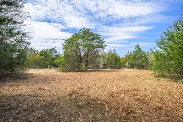 TBD Independence Tract 4 ST, Carmine, TX 78932