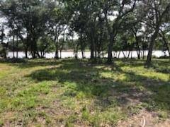 0 County Road 306, Brazoria, TX 77422