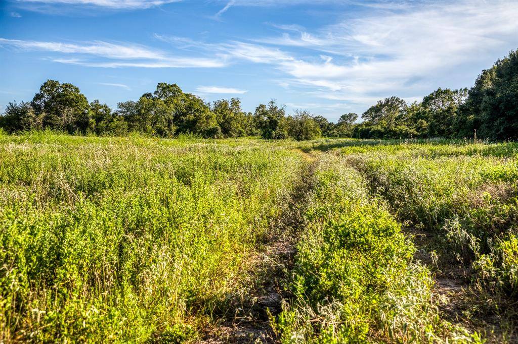 Bellville, TX 77418,TBD Sandstone LN