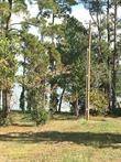 Onalaska, TX 77360,1867 Fm-3186