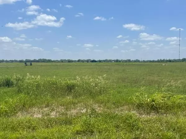 Boling, TX 77420,132 Sabinal ST