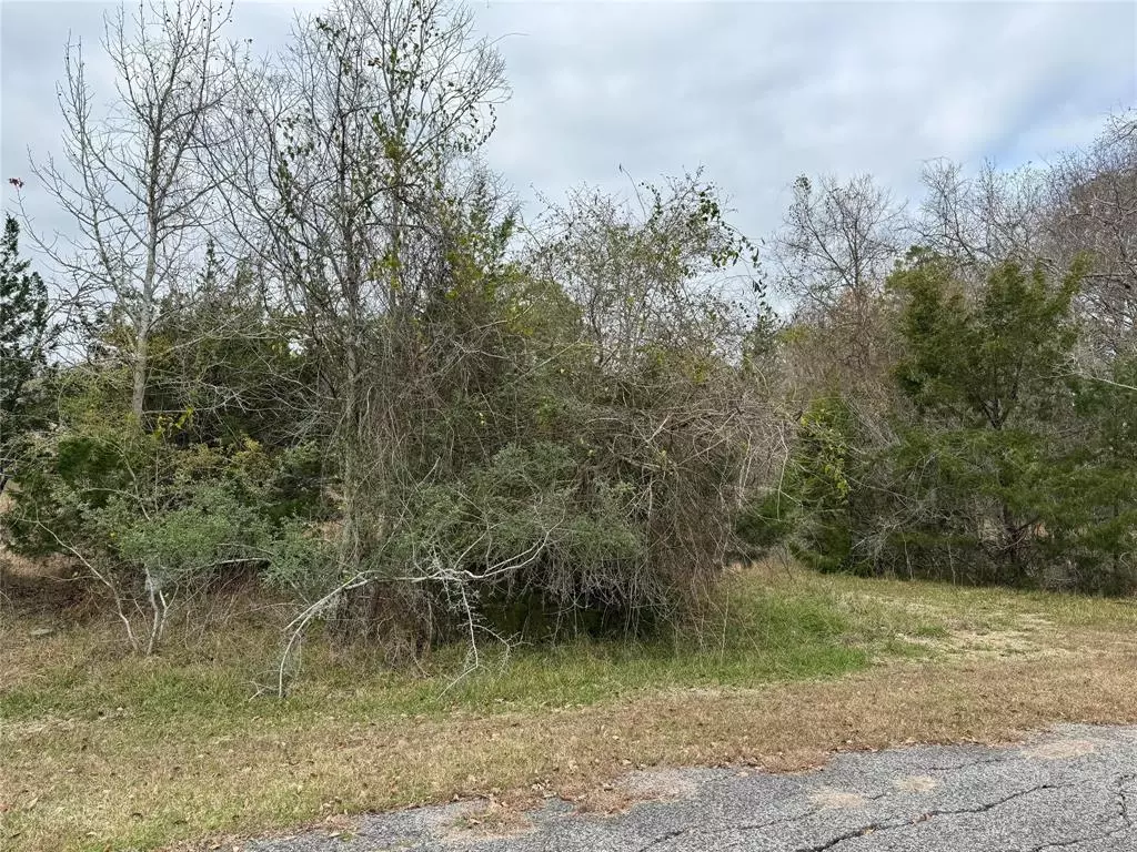 Coldspring, TX 77331,Lot 101 Elm Cove CIR