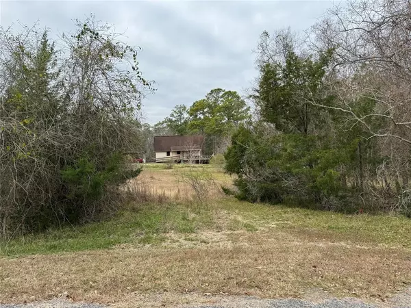 Coldspring, TX 77331,Lot 101 Elm Cove CIR