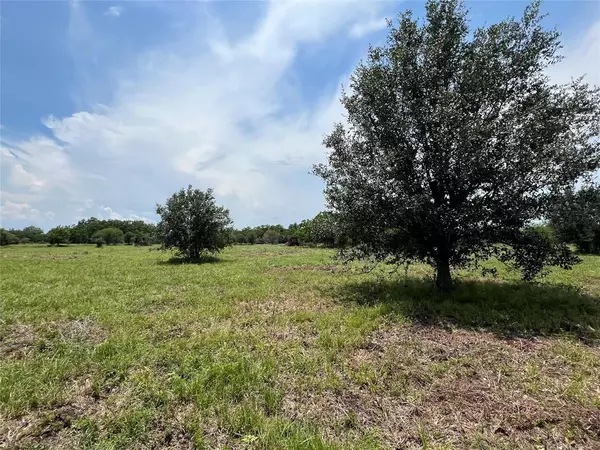 5 County Road 25, Damon, TX 77430