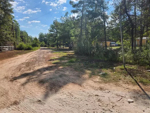 Lot 1 Live Oak DR, Plantersville, TX 77363