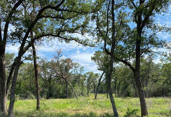 TBD High Crossing Road - Tract 14, Smithville, TX 78957