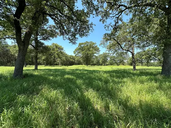 TBD #1 FM 2547, Fairfield, TX 75840