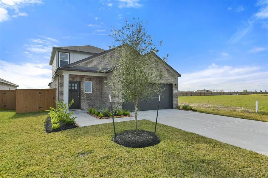 1102 Wildflower Way DR, Beasley, TX 77417