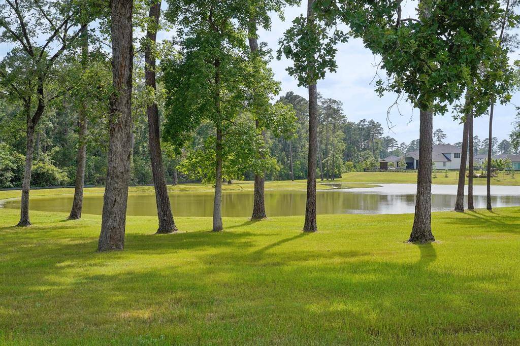 Magnolia, TX 77354,14 Arctic Tern CIR
