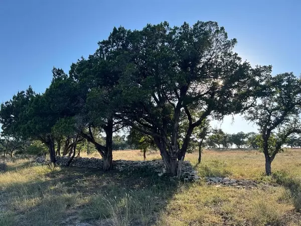 Round Mountain, TX 78663,Lot 48 Stoneridge Mountain