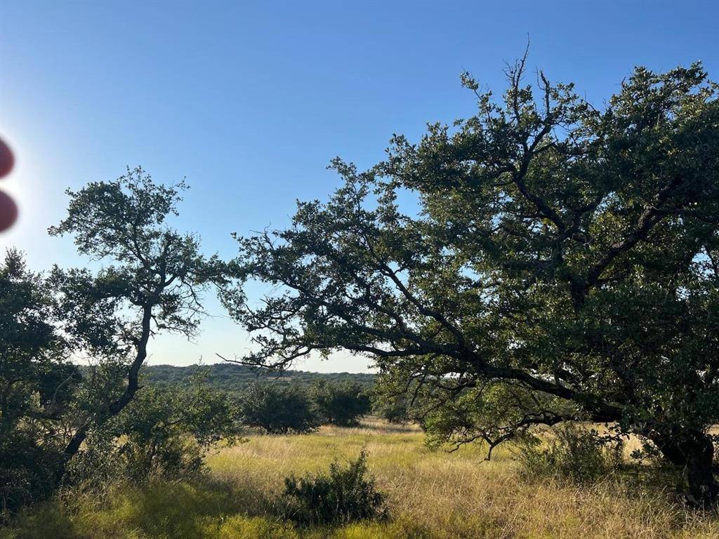 Round Mountain, TX 78663,Lot 48 Stoneridge Mountain