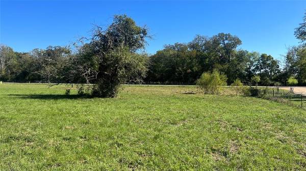 Lot 4 CR 319, Navasota, TX 77868