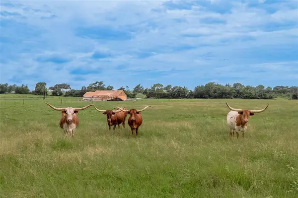 Richards, TX 77873,7825 CR 217