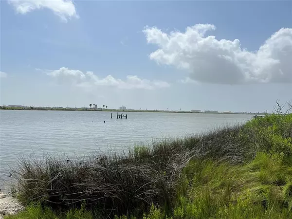 Galveston, TX 77554,Lot 15 Sydnor