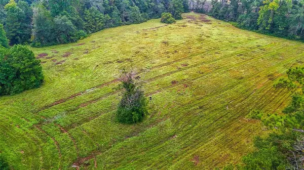 Newton, TX 75966,TBD County Road 3038