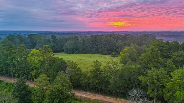 Newton, TX 75966,TBD County Road 3038