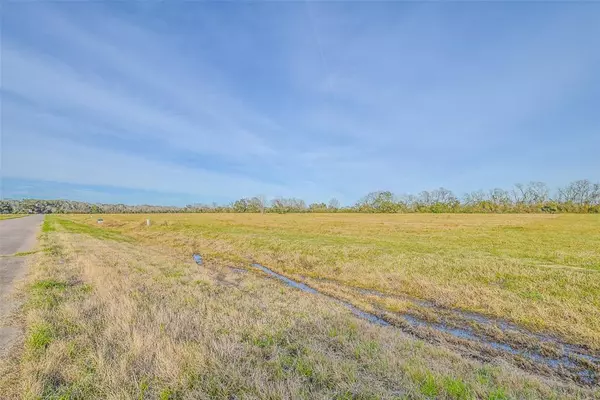 Angleton, TX 77515,1 Brahman TRL