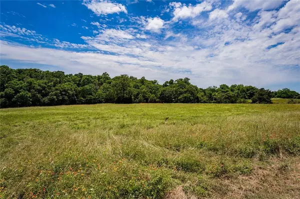 Round Top, TX 78954,000 Kneip RD