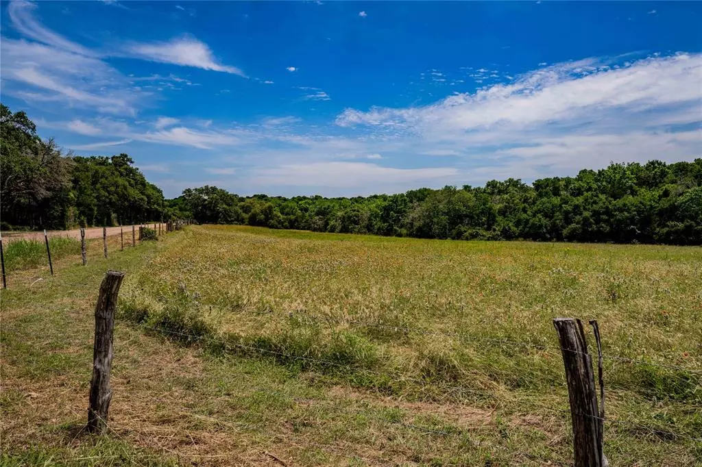 Round Top, TX 78954,000 Kneip RD