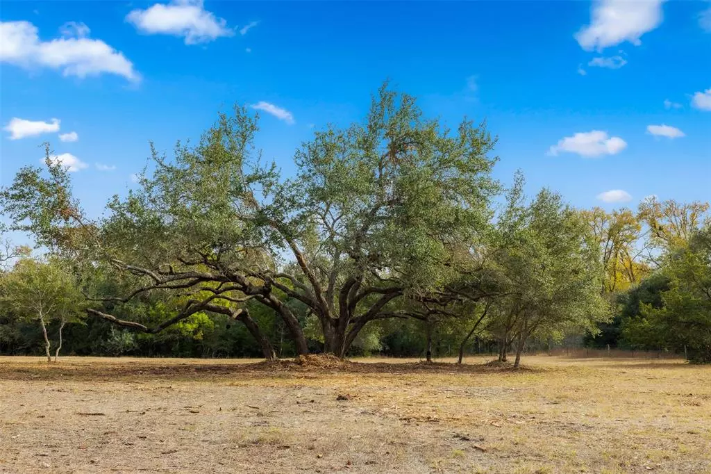 Round Top, TX 78954,TBD S Weyand RD