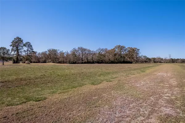 Trinity, TX 75862,Lot 7 New Orleans AVE