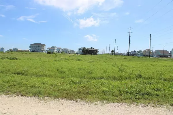 Galveston, TX 77554,0 Seabird - Lot 1 Seabird Acres