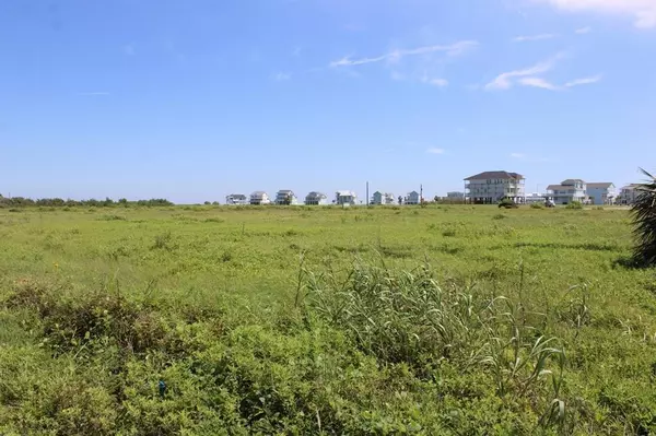 Galveston, TX 77554,0 Seabird - Lot 1 Seabird Acres