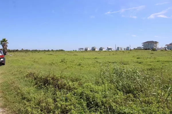 Galveston, TX 77554,0 Seabird - Lot 1 Seabird Acres