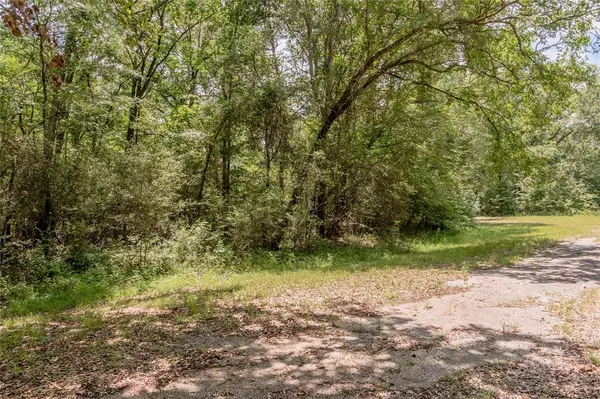 Trinity, TX 75862,Lot 21 Jamestown RD