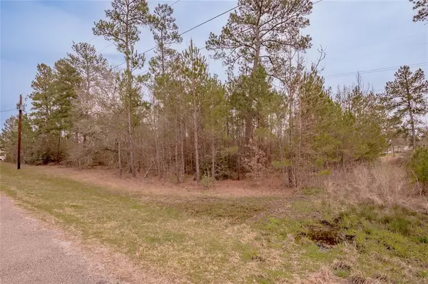 Huntsville, TX 77320,Lot 19 Victoria WAY