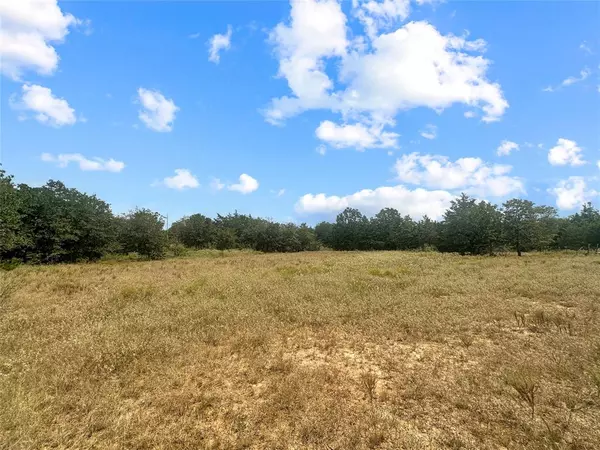 Muldoon, TX 78949,33 +/- acres Davis RD