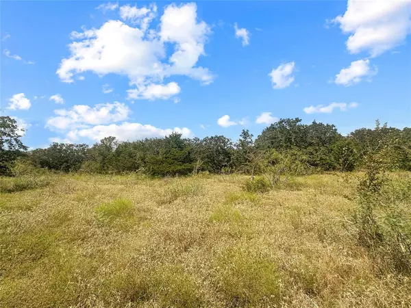 Muldoon, TX 78949,33 +/- acres Davis RD