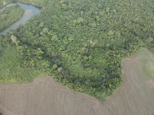 99999,1381 Acres Beaver Dam