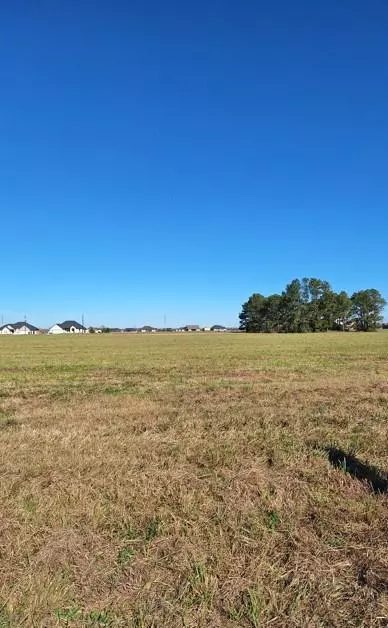 554 Quarter Horse TRL, Angleton, TX 77515