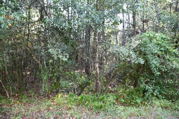 Plantersville, TX 77363,Lot 3 Cedar CT