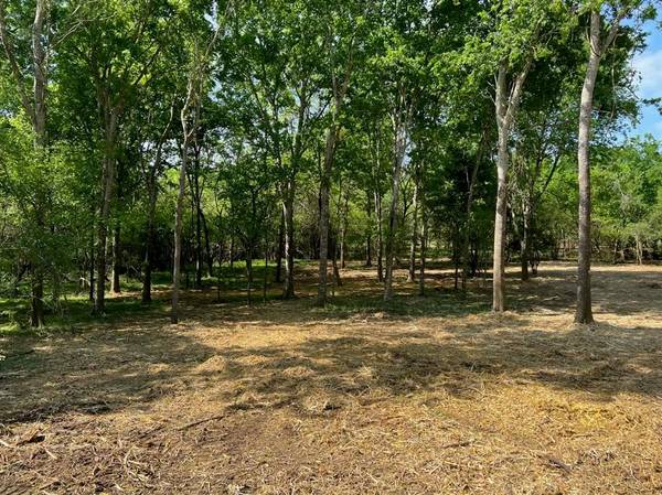 Chappell Hill, TX 77426,TBD Pecan Grove Court Lot 8