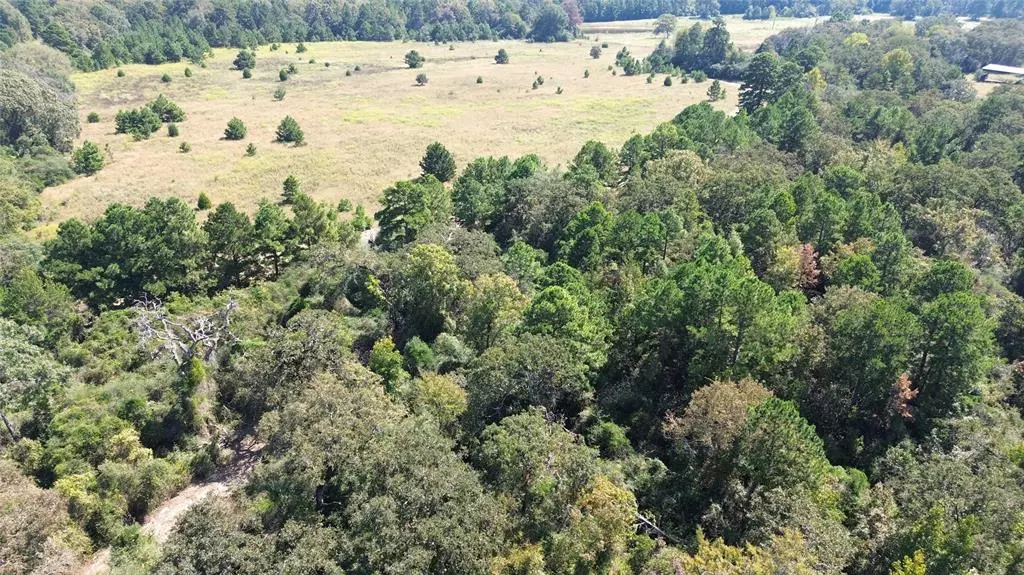 Grapeland, TX 75844,TBD Off of FM 2423