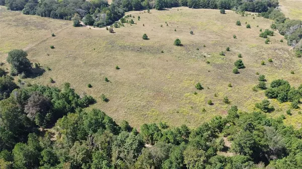 Grapeland, TX 75844,TBD Off of FM 2423