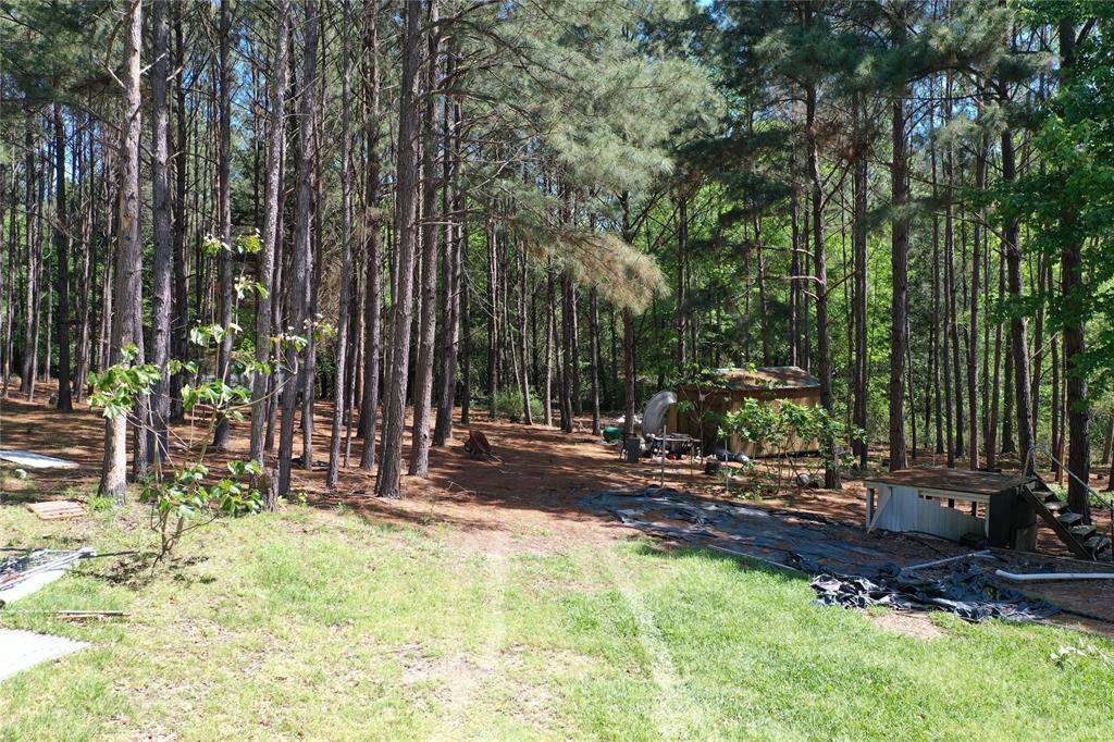 Palestine, TX 75803,303 An County Road 2105