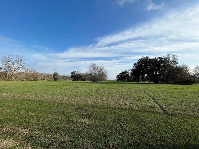 101 Cattle Drive TRL, Angleton, TX 77515